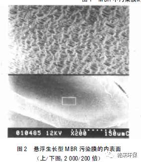 MBR在凈水工藝中的膜污染特征及清洗